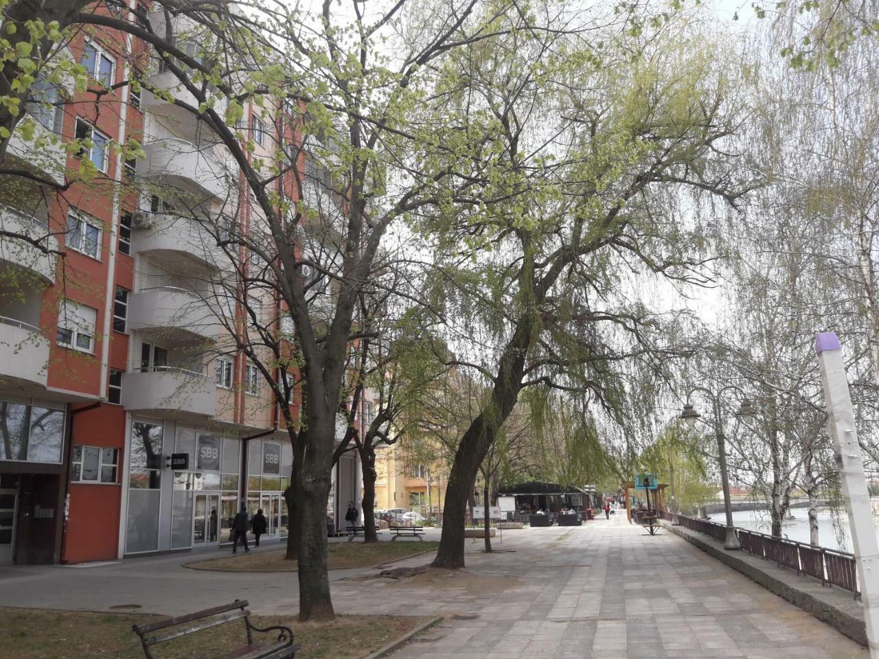 Heart Of The City Apartment Ni Екстериор снимка